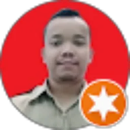 Review From Frans Chandra