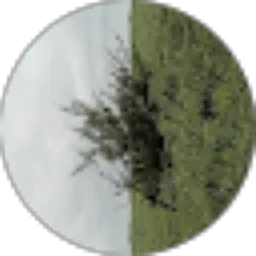 Review From Ikhsan Nurrohman