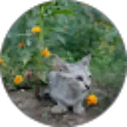 Review From Meria Afriani