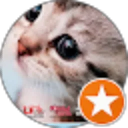 Review From Hallo pet store Produsen pasir murah