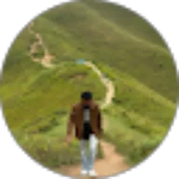 Review From Budi Kurniawan