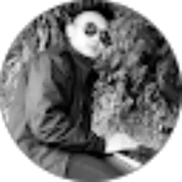 Review From Demy _Ant