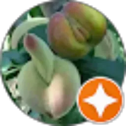 Review From Syarif M