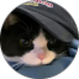 Review From Ahmad Syaikhu