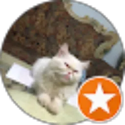 Review From Dian Utami