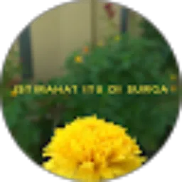 Review From Zata Lini