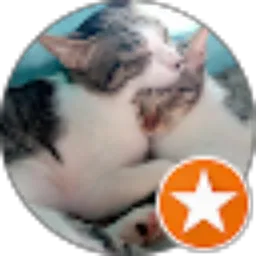 Review From nila afriani