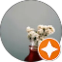 Review From Peter Amy Budiono