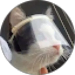 Review From Snowy Smoky