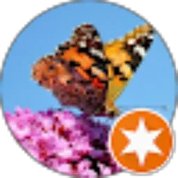 Review From Riana Ryan