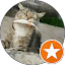 Review From Dedy Mustafa