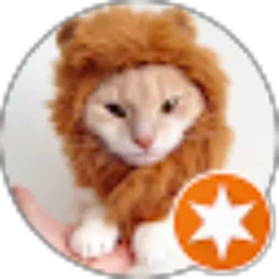 Review From Van Der Mann