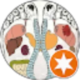 Review From Arjuna Putra