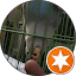 Review From wahyu joko