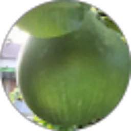 Review From Yanti Supriyanti