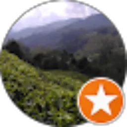 Review From David Cole
