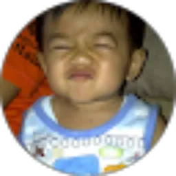 Review From Wayan Gunawan