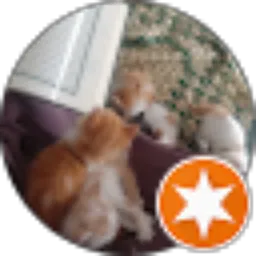 Review From lisna nurindah sari