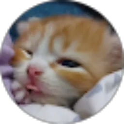 Review From Sonya Pandarmawan