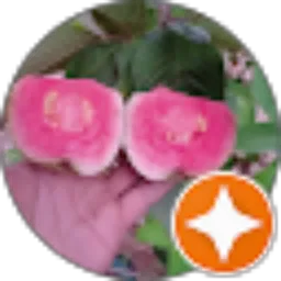 Review From Yusron arifin