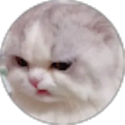 Review From Wafda Zahra Ramadhani R