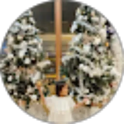 Review From Rizha Ayu Eka Santoso