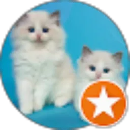 Review From Ujang Kemod