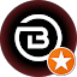 Review From Budi Hartono