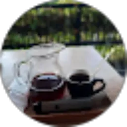 Review From Daniel DH