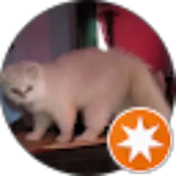 Review From Riri's Chanel