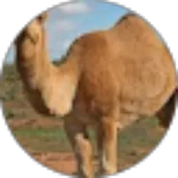 Review From Joe Free