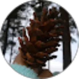 Review From A S N azah