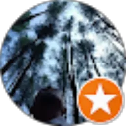 Review From Fidrik Hafid