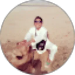 Review From Ozhan Firdaus