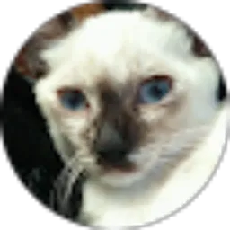 Review From Arky Dewangga