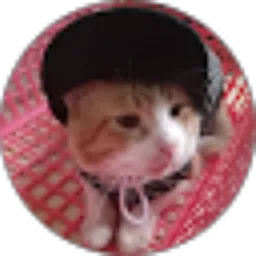 Review From Listiana Hasanah