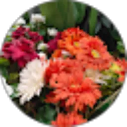 Review From Suri Yana