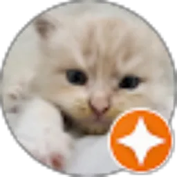 Review From Chelsi Widiyati