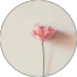 Review From Nurul Hidayah