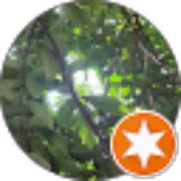 Review From Elang Virgiawan