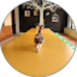 Review From Chennora Putri