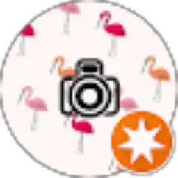 Review From an. putri