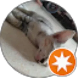 Review From rie bow back