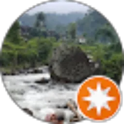 Review From Idel Murad