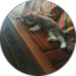 Review From Faisyal Prakasa Wibawa