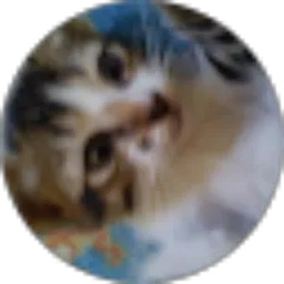 Review From widi cinthya