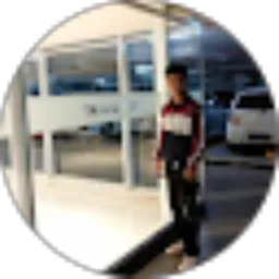 Review From Dwiparmantio