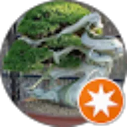 Review From Andi andika