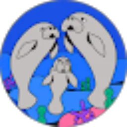 Review From Sutri Anti