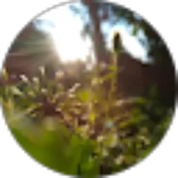 Review From Harpan Masdar MT 6B